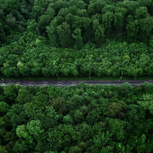 Dr. Kubilay Murat Özdener