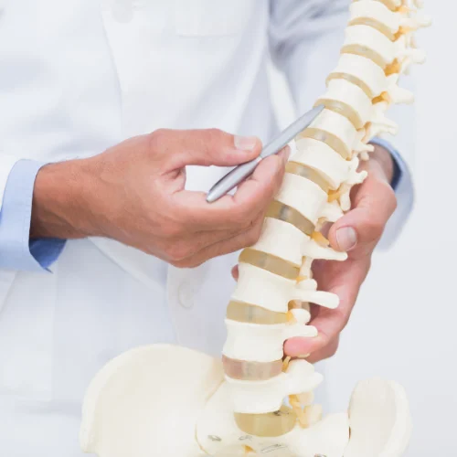 Spine and Spinal Cord Injuries