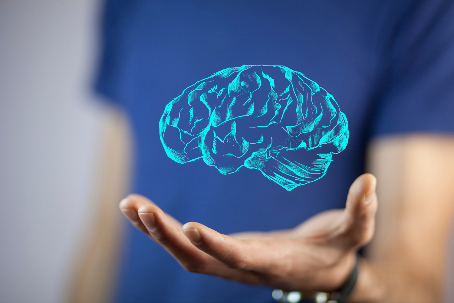 Santral Sinir Sisteminin Basit Anatomisi